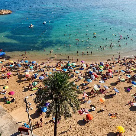 150 Lovely Palangre * Torrevieja